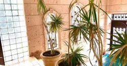 Residencia Colinas de San Jerónimo,