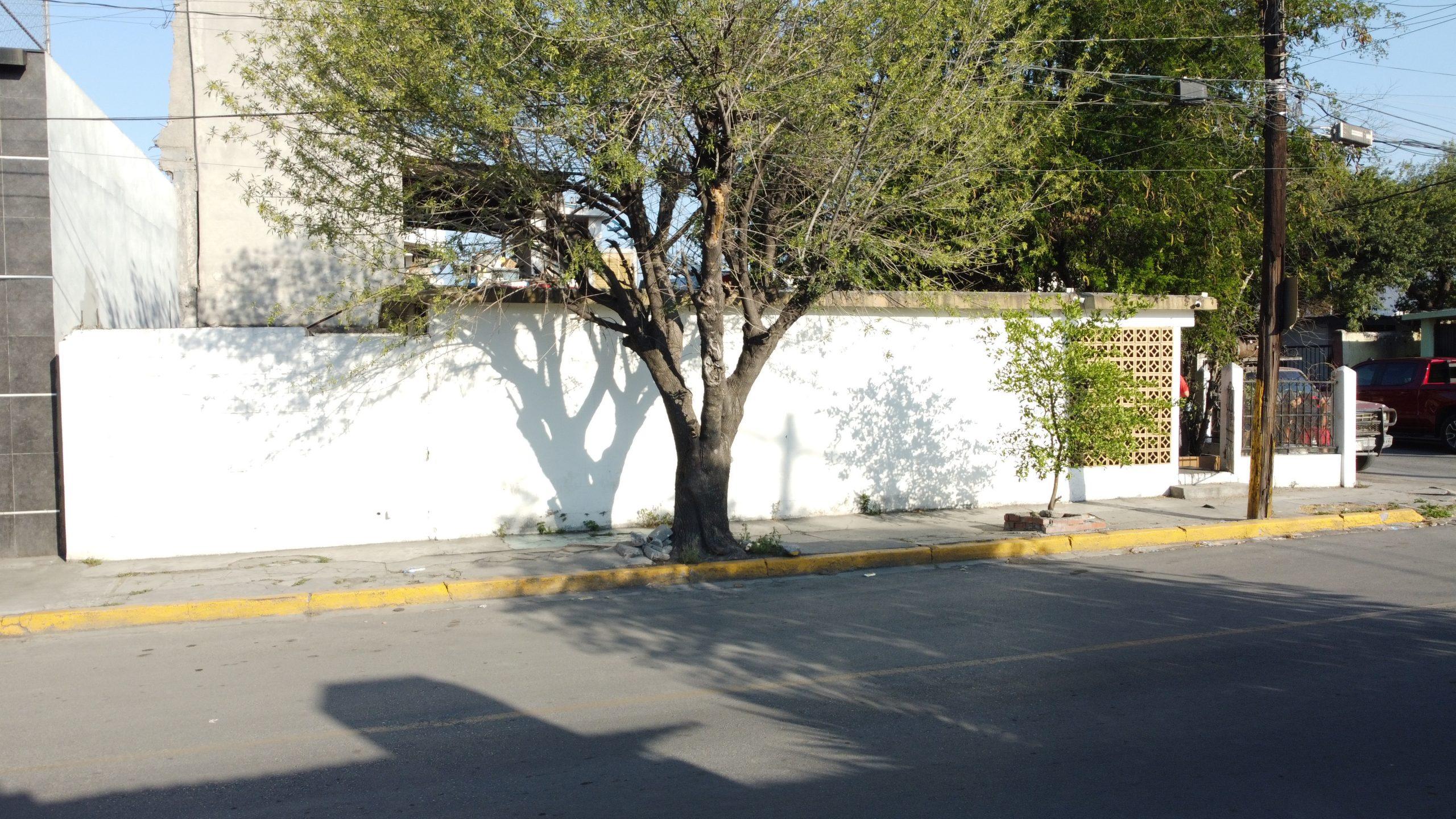 CASA VALLE DEL NOGALAR