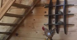 Quinta Campestre Salinas Victoria