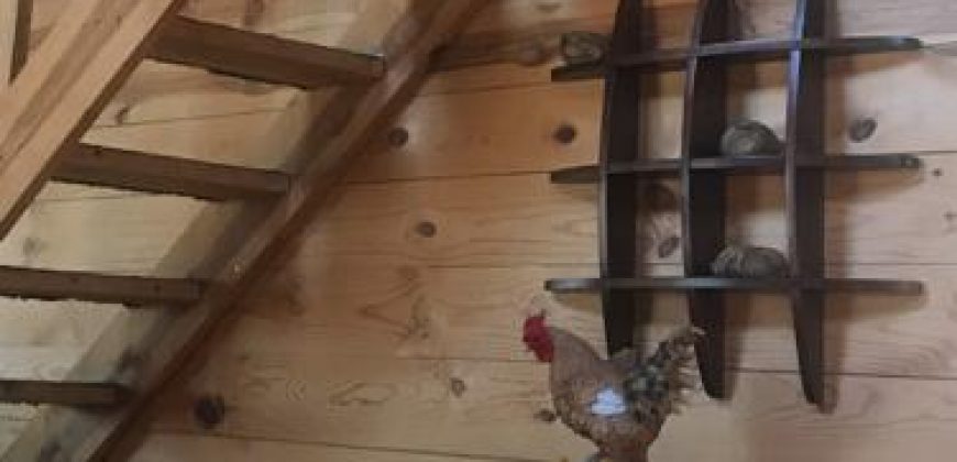 Quinta Campestre Salinas Victoria